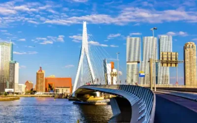 Duurzame houten vloer Rotterdam, slimme keuze